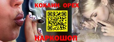 индика Кинель