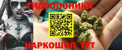 индика Кинель