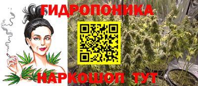 индика Кинель