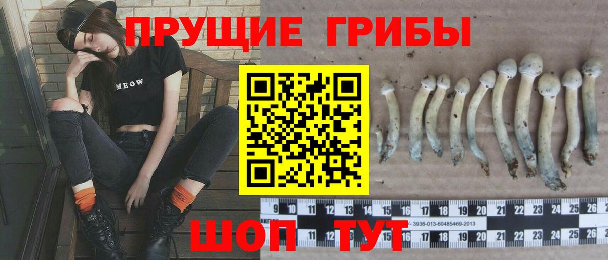 Котовск  Галлюциногенные грибы ЛСД  Вход с VPN  Галлюциногенные грибы GOLDEN TEACHER 